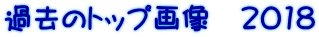 ߋ̃gbv摜@2018 
