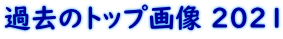 ߋ̃gbv摜 2021 
